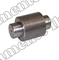 2RP607037 ROLETE DA SAPATA