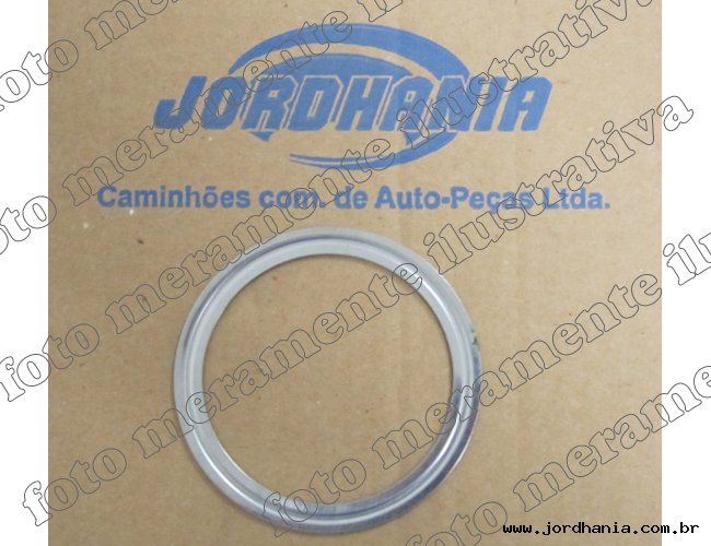 https://www.jordhania.com.br/content/interfaces/cms/userfiles/00331/produtos/tra253135-anel-turbina-vw-438.jpg